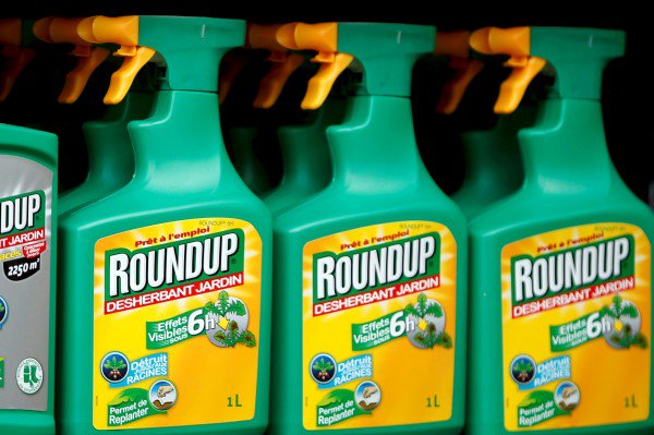 #UnitedNations experts find weed killer #glyphosate unlikely to cause #cancer bdn.to/yc6d