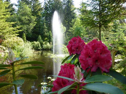 YourWestCoast's tweet photo. May long weekend means the Art and Bloom Festival is here! https://t.co/ZoArz0sKWL #Merville #thingstodo https://t.co/0q3iLvjfZY