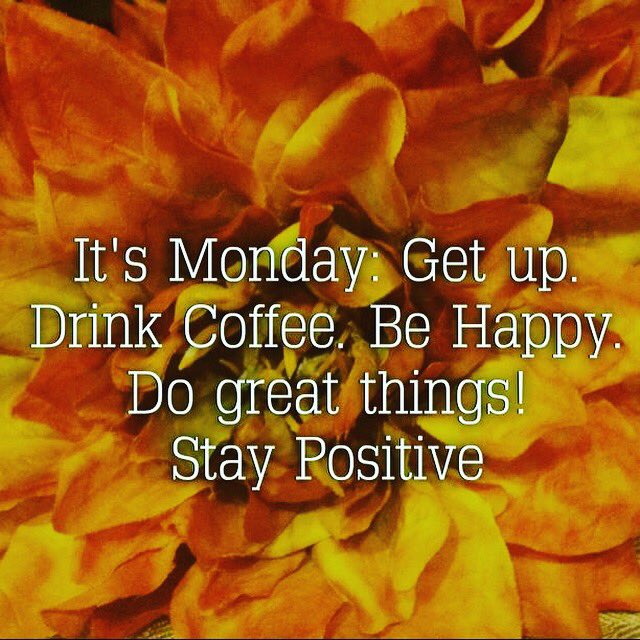 Leaf_Genius's tweet photo. Happy #Monday folks! It's a new week with new opportunities, go get 'em! #mondaymotivation #gardening #startup https://t.co/9ugXqtUW19