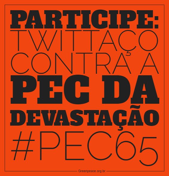 VAMOS FAZER BARULHO! Daqui a uma hora, participe do Twittaço contra a #PEC65!