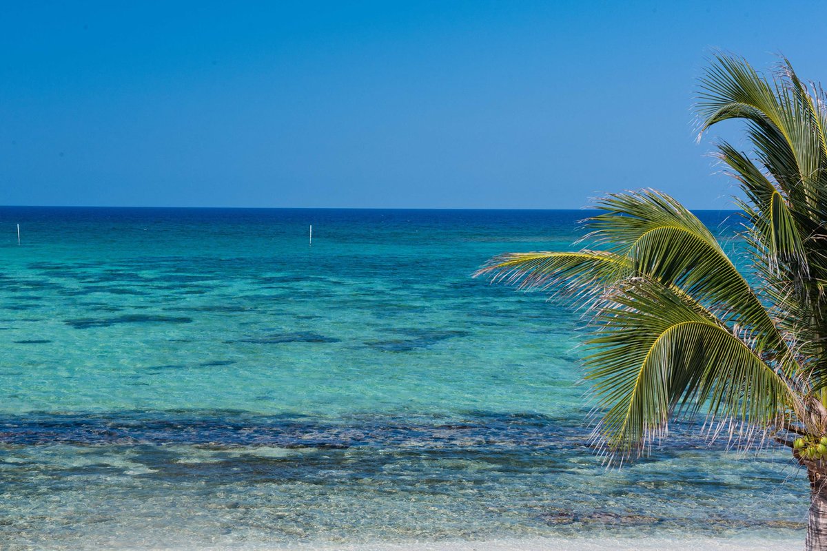 WyndhamReef's tweet image. The East End of #GrandCayman is far from the crowds, which provides a truly serene tropical escape.