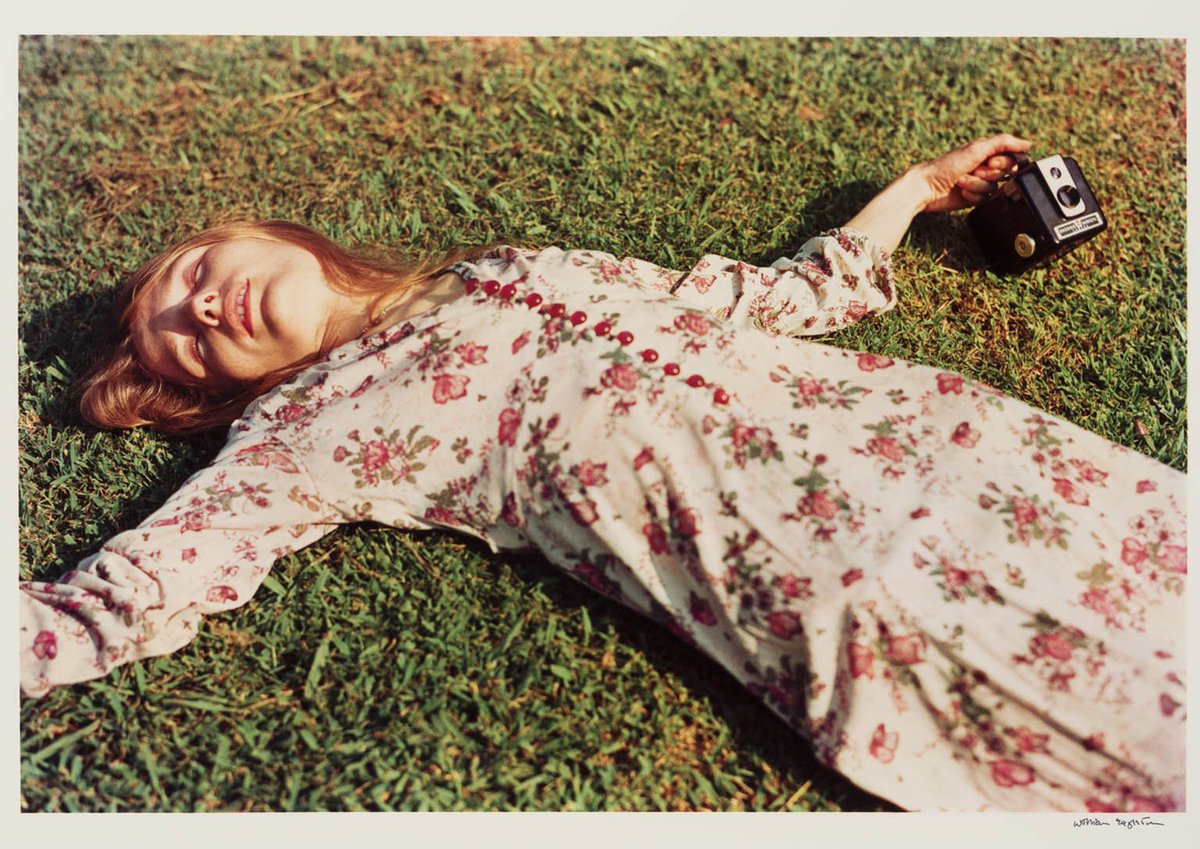 artfund's tweet photo. Which shows are on your wishlist this summer? From O'Keefe to Eggleston: our five must-sees https://t.co/gOBnNlUwud