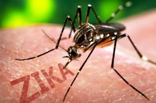 PDChina's tweet image. #Beijing confirms first imported case of #Zika virus infection; Patient returned from #Venezuela