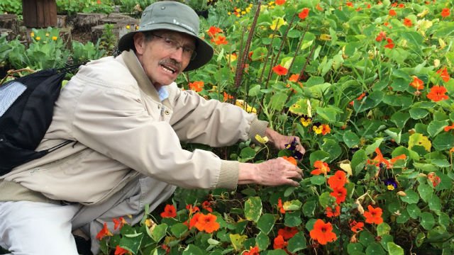 GavoBarreraM's tweet photo. Aprenda, con el Jardín Botánico, para qué sirven 11 plantas medicinales https://t.co/0jVAJDFESh https://t.co/o1vZ5zzLwF