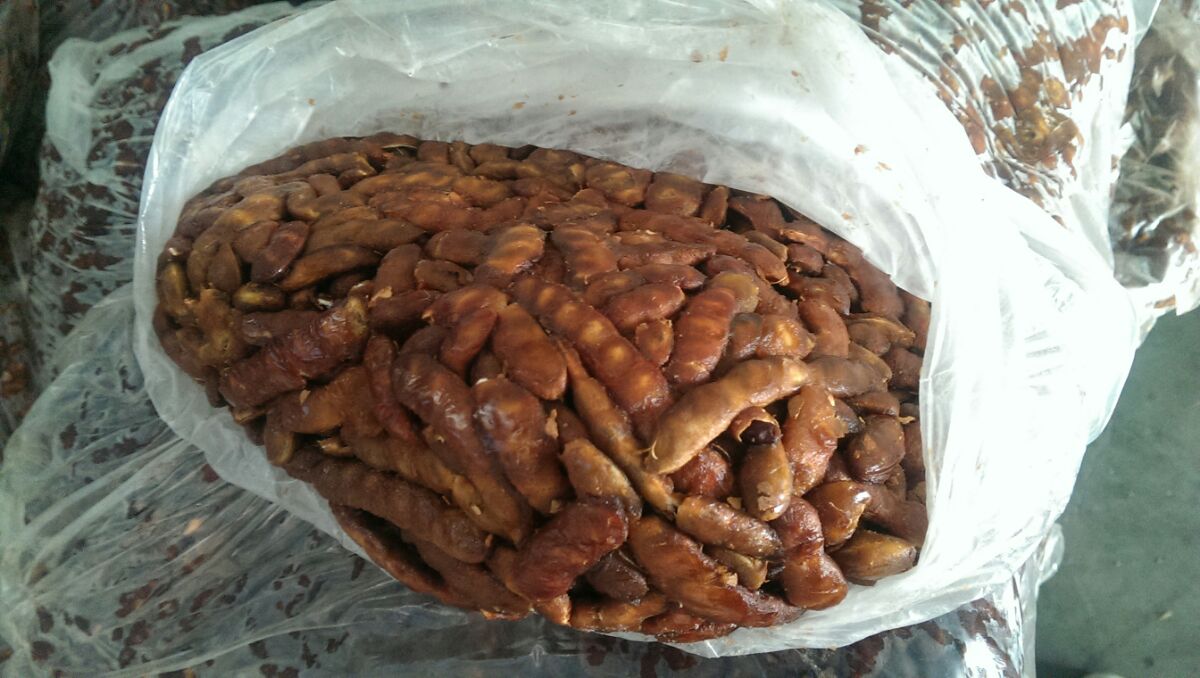 WorldSalesCo1's tweet photo. #Rice #Tamarind #TamarindPaste #TamarindConcentrate #BasmatiRice #FreshCoconuts #ThaiCoconuts #ThaiYoungCoconuts https://t.co/vXKeE1vkom