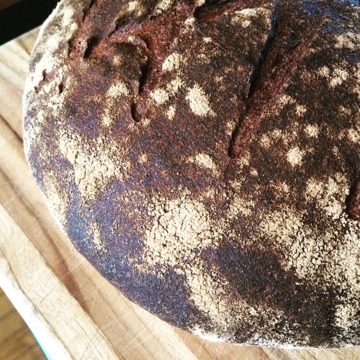 Second edible 100% WW #sourdough + comm. yeast boost loaf - will get to "the pure zone" eventually <a href="/michaelpollan/">Michael Pollan</a>!