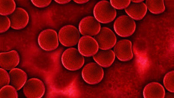MDAlertSTAT's tweet photo. Researchers find blood marker that determines response to colorectal cancer drug @scienmag https://t.co/zWLMCKlsnt https://t.co/xE0wqUMToy