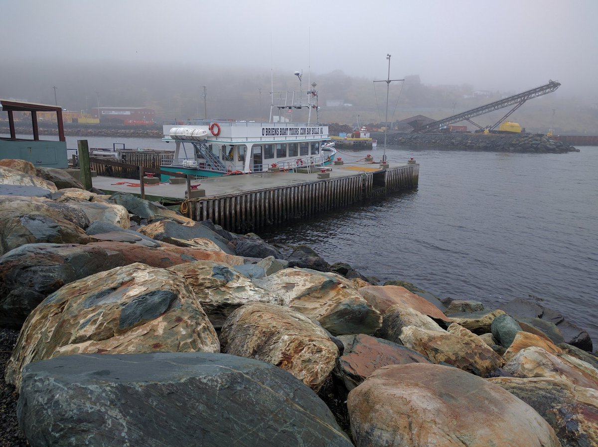 Foggy day at O'Brien's Boat Tours in St. John's, Newfoundland