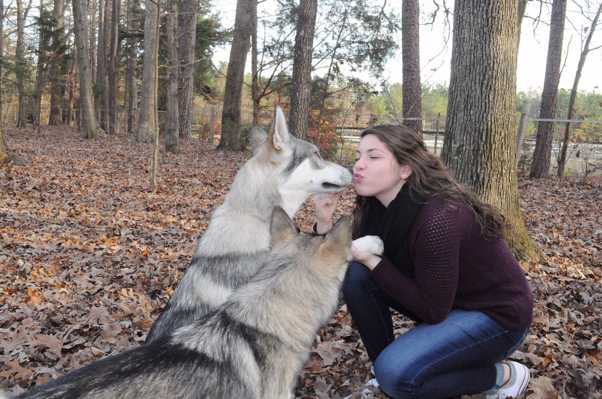 HalcyonTamaskan's tweet photo. Happy Birthday to one of our favorite people @AlexaOtlin. We love your kisses! https://t.co/J51SU385bq