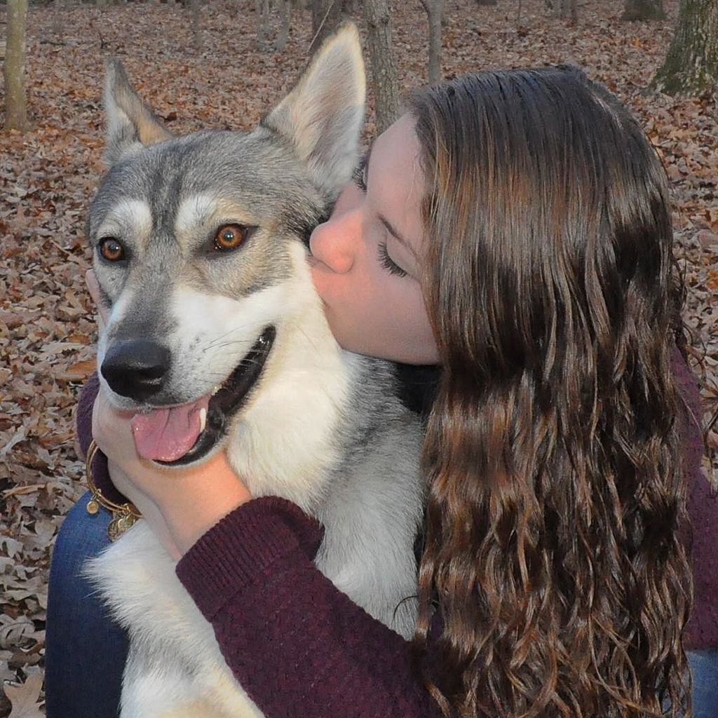HalcyonTamaskan's tweet photo. "I was the moon and he my wolf" 
Happy 16th Birthday to my favorite person that kisses my … https://t.co/z47vERiSrR https://t.co/w9pRioWFDL