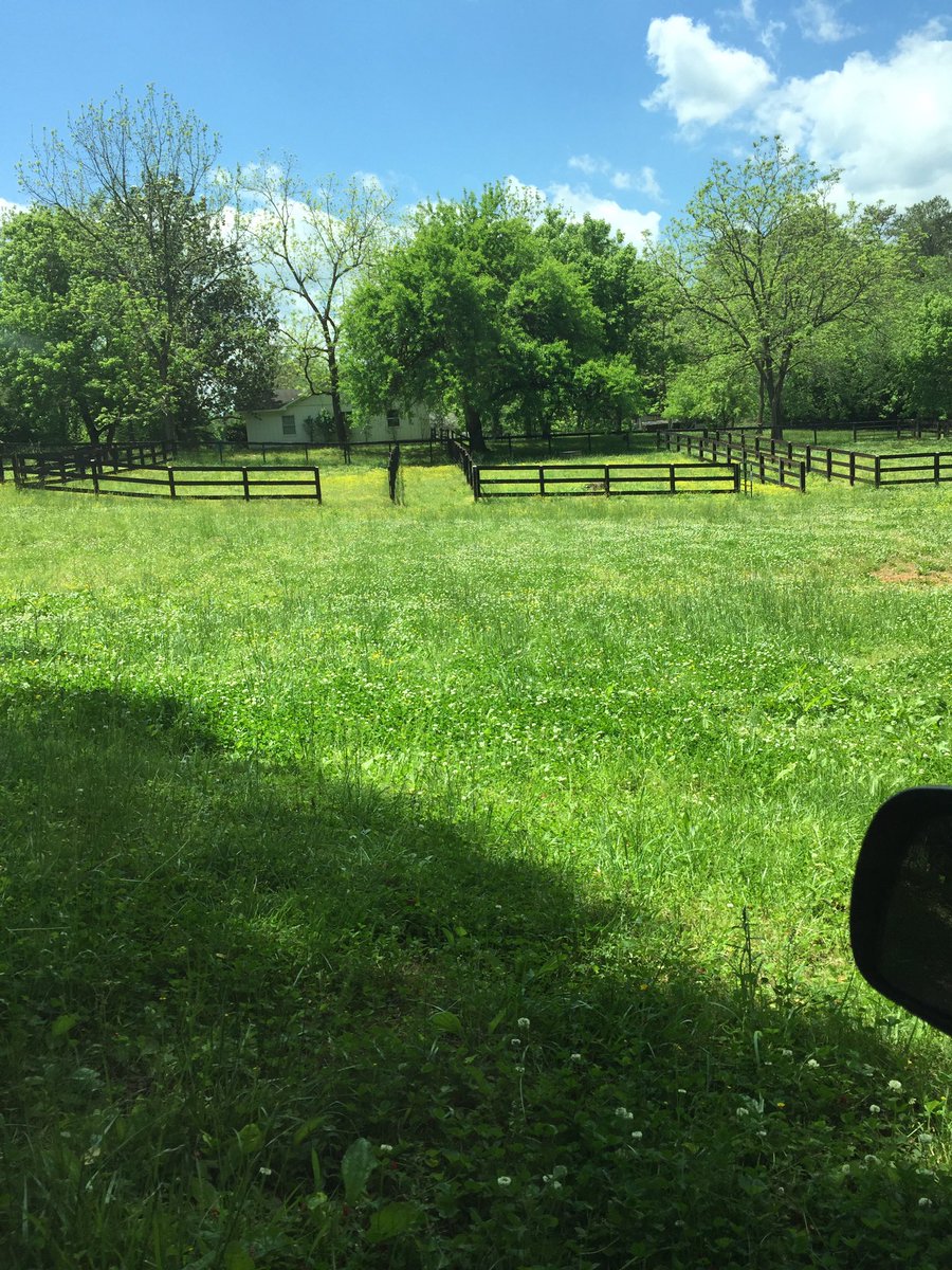 PerfEqtLife's tweet photo. Super excited about my trainers new barn!!:) https://t.co/icTLvaelQS