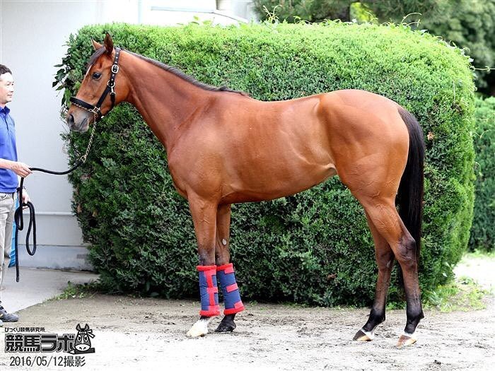 keibalab's tweet photo. #フロンテアクイーン #FrontierQueen
馬体解説は→
https://t.co/0kOdkk7mz6
#競馬 #keiba #オークス #優駿牝馬 https://t.co/q4hs0pKEqc