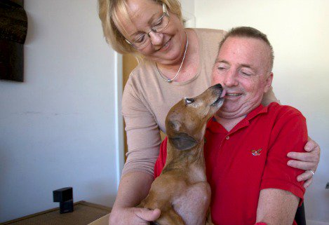 PetMD's tweet photo. Dachshund Survives Back Surgery | Brings Joy to Couple Dealing With Cancer Diagnosis https://t.co/gZAmWkHTKJ https://t.co/RbRoREO4v9