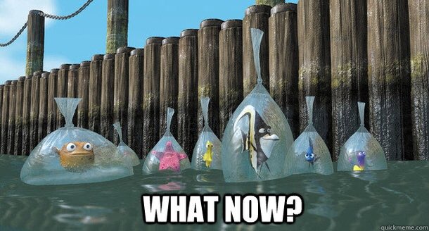 Wreckit_RACH's tweet photo. Sooo I graduated....what now? https://t.co/c3aIy9g630