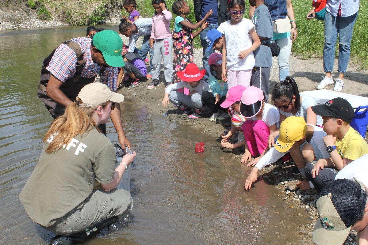 TheTorontoZoo's tweet photo. This year we will be releasing 2,600 Atlantic salmon fry into Lake Ontario #AquaLinks https://t.co/DEh79CQXOR 🐟 https://t.co/8krFG7h4iH