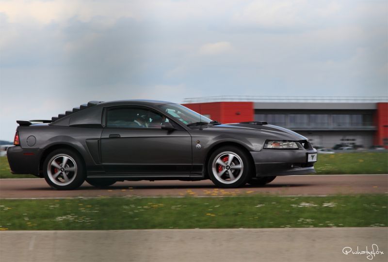 whatzefox's tweet photo. Taking the wheel!! ๐๐ Mustang Nats 2016/05/15 https://t.co/jJaIwkPnFB #cars #fordmustang #mustang #ford #dsg #gt2003 https://t.co/iUdWjVuwMk