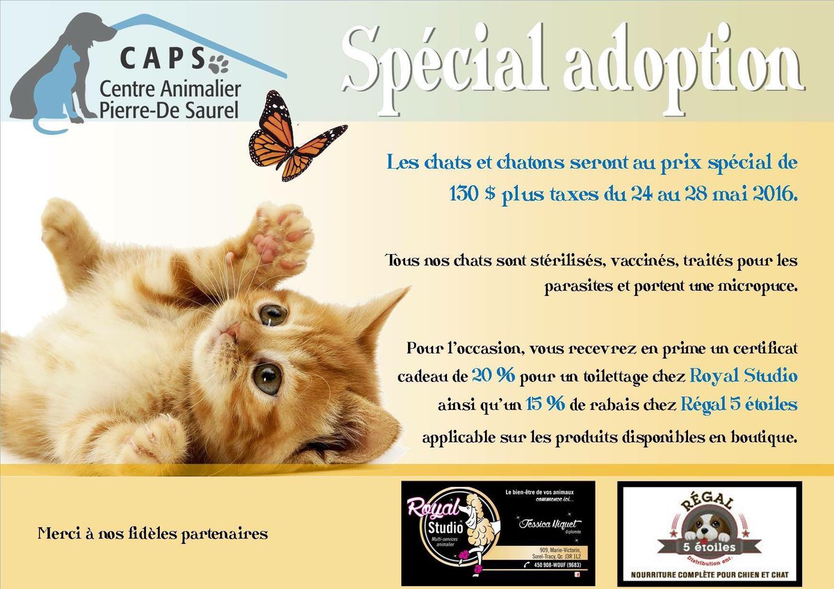 le_CAPSst's tweet photo. SPÉCIAL ADOPTION

#animaux #refuge #spécial #adoption #royalstudio #régal5étoiles #deuxièmechance https://t.co/CxtAzvZklD