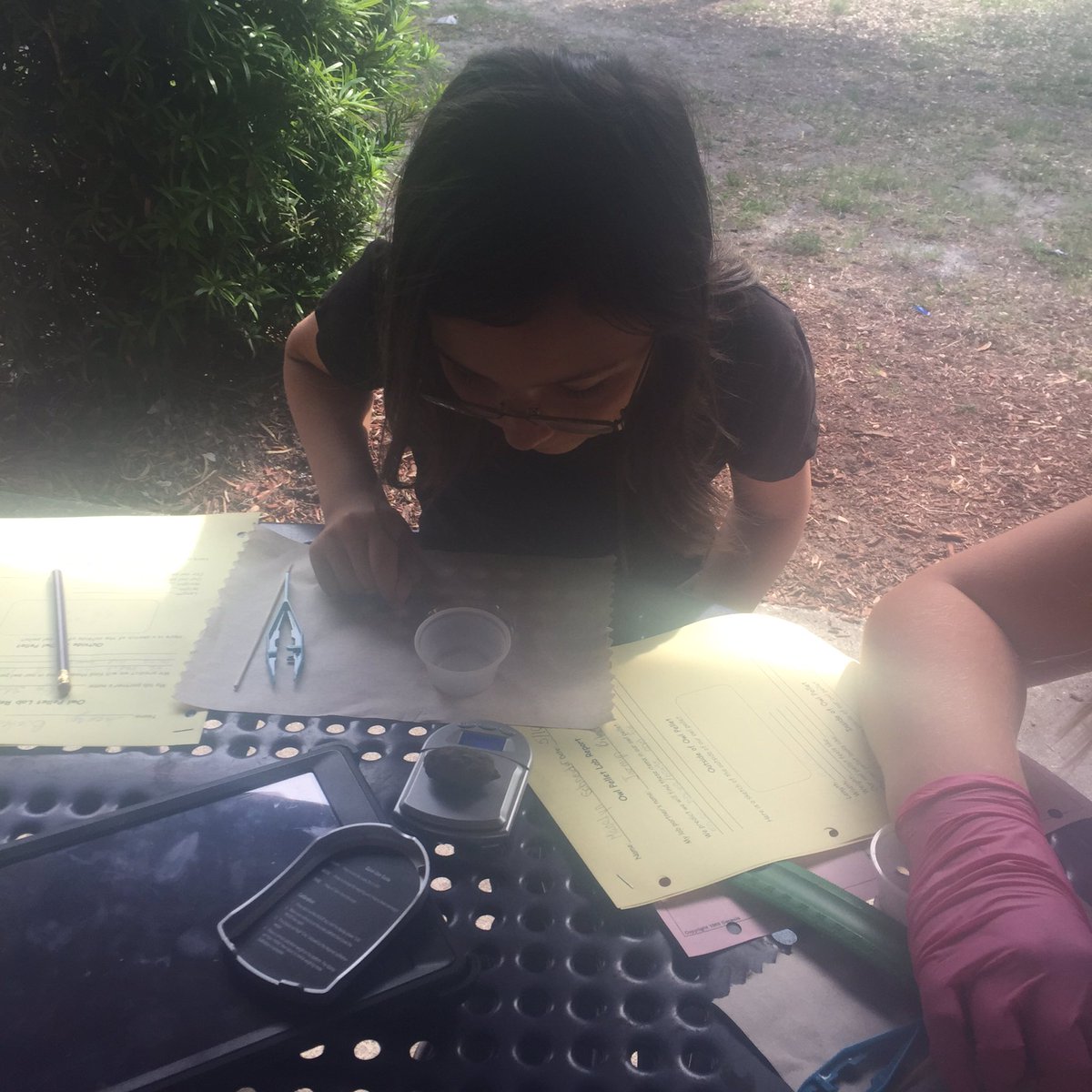 JulieReheiser's tweet photo. 5th grade owl pellet dissection! #scienceisawesome @CESWildcats @dnarieti https://t.co/Qaisl3tjB3