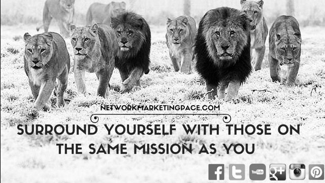 nm_pace's tweet image. Watch #Instavideo:ift.tt/1rP4jR2