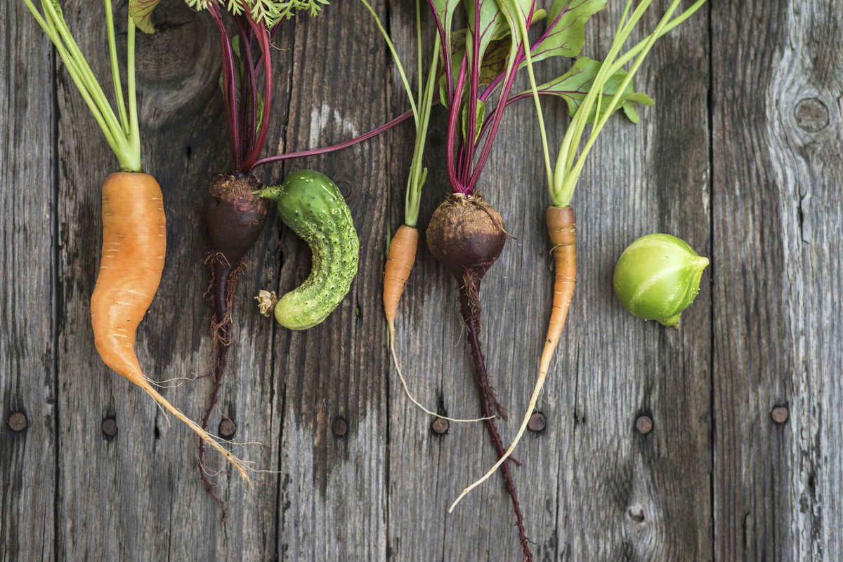 HifasdaTerra's tweet photo. En #HifasdaTerra apoyamos la campaña "the ugly food", apoyamos la comida fea. https://t.co/P9aVC4hoeT https://t.co/0v3EaL6DDu