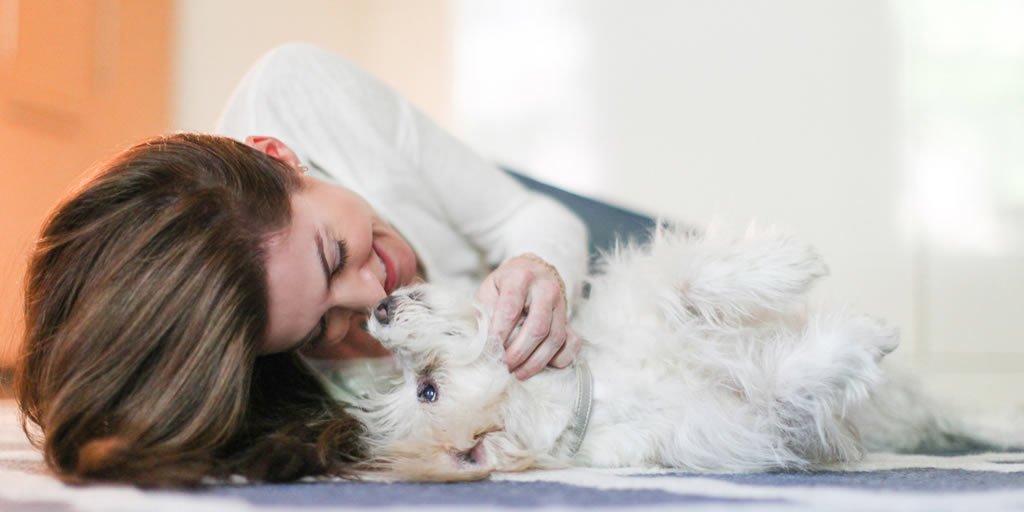 Dogways's tweet image. Yay we launched our blog!  Our first post is w/ @andrearden
dogways.com/blog/meet-trai… #villagetoraiseadog