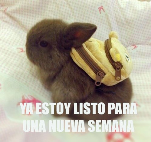 CanMundo's tweet image. Que tengan un buen inicio de semana!

#FelizLunes