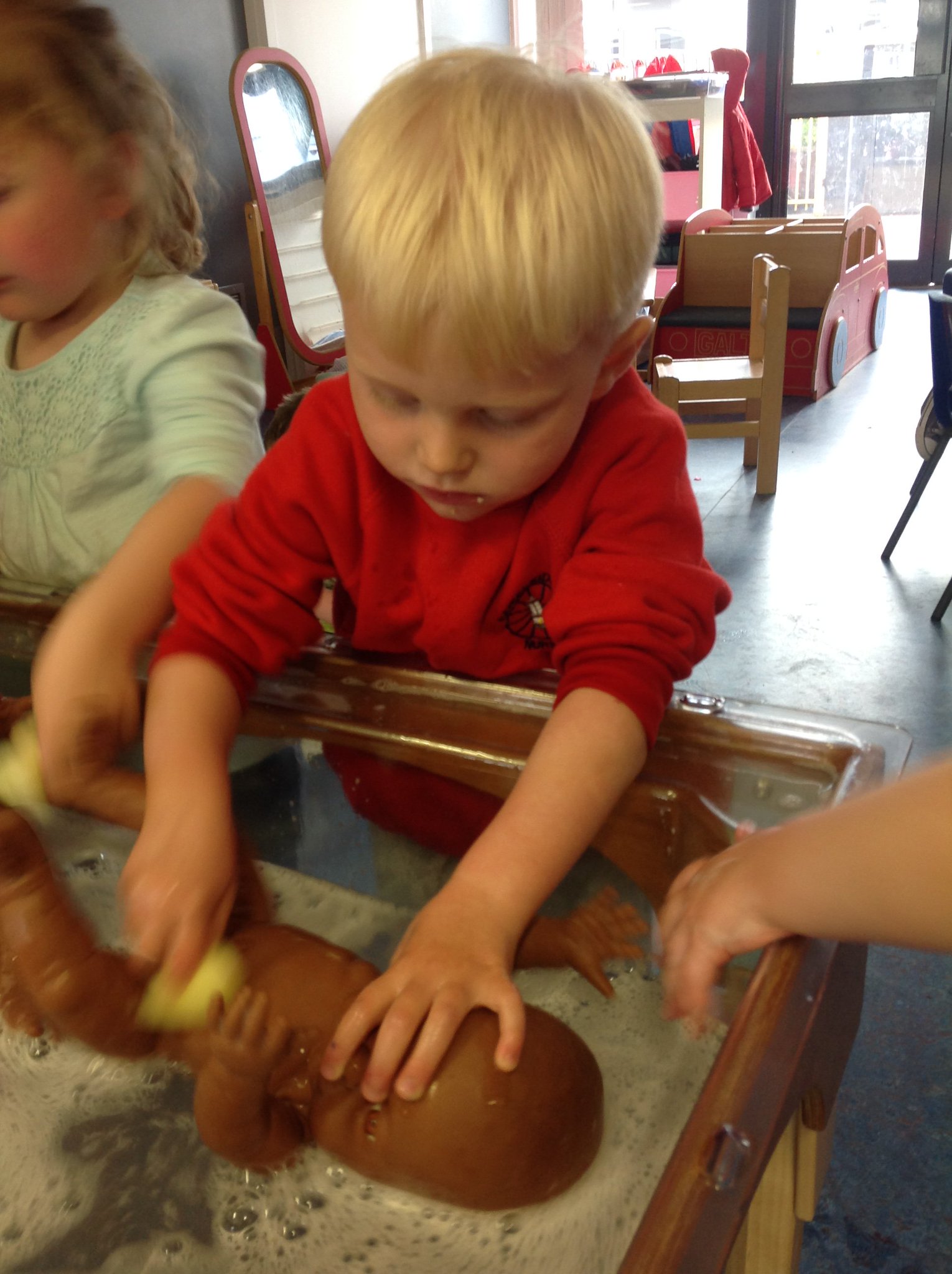 Gorebridge Primary on Twitter "We are learning about how to care for