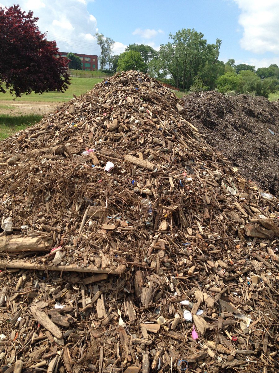JoeVinRo's tweet photo. 3 years ago today @clevemetroparks starting grooming Edgewater🏖 the piles of debris are now gone! @CEO_CleMetParks https://t.co/QX8U7AFF50