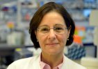 UofGNews's tweet photo. MVLS professor receives Distinguished Scientist Award from @ASHypertension https://t.co/Sb3SJe7B8E https://t.co/zX7o6PM2yw