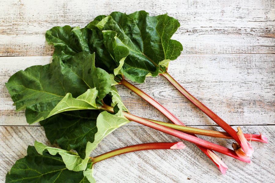 FarmgirlsDabble's tweet photo. NEW Rhubarb 101 + a super simple recipe for rhubarb sauce! https://t.co/CGDfvKJkcV #pwfoodfriends @thepioneerwoman https://t.co/IP4g71YeHW