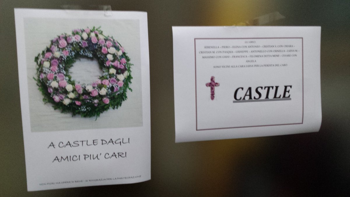 ImAStanasDevil's tweet photo. My husband's joke... ππππ
#RIPCastle https://t.co/Cj7Yc0mVFk