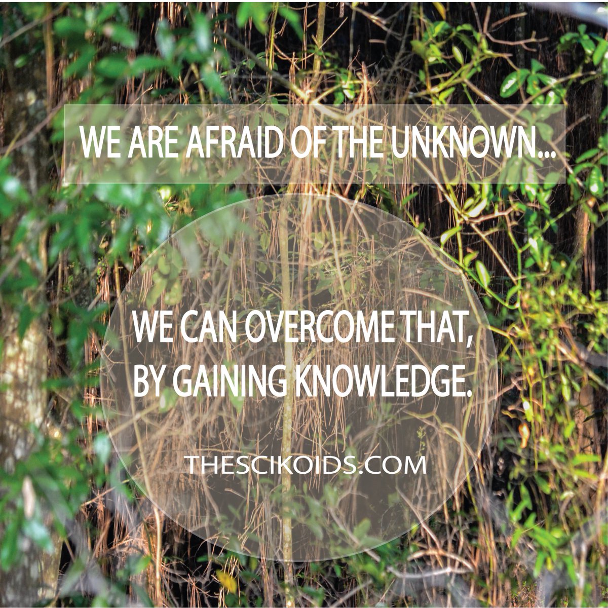 TheSciKoids's tweet photo. GINA MAE's #QuoteOfTheDay via @TheSciKoids 
#Inspiration #Fear #Knowledge #Understanding https://t.co/xY1MfEvKLR