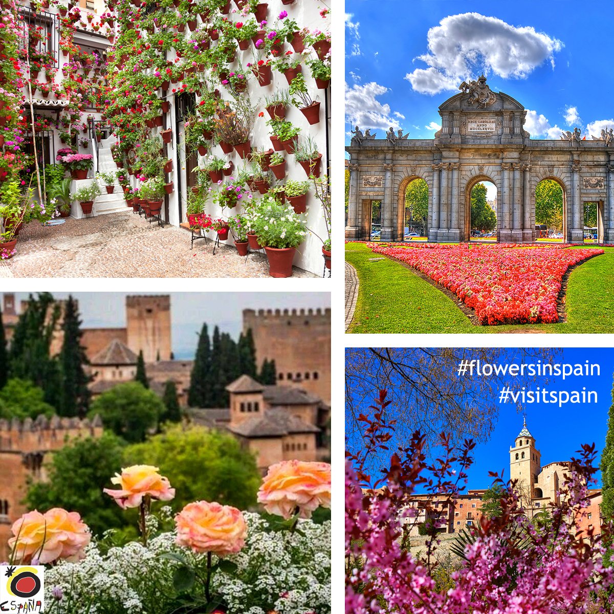 EspanaEnLatam tweet picture