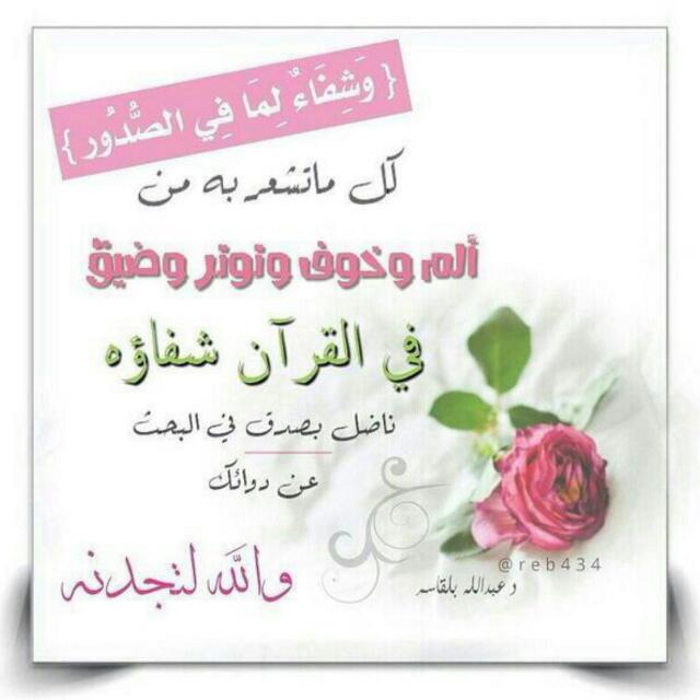 AAlseke's tweet photo. https://t.co/uPEExKco7g