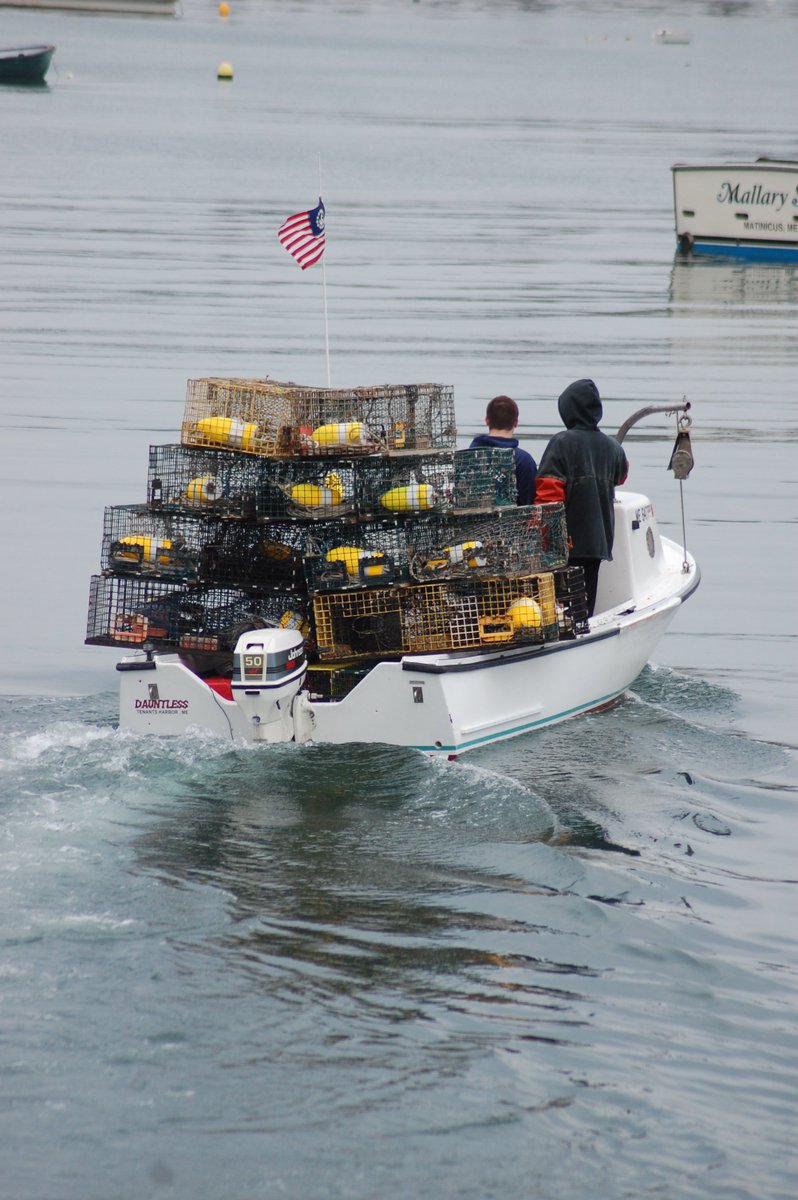 Getting busy at the co-op! #tenantsharborfishermanscoop #workingwaterfront #lobsterfrommaine bit.ly/1TSuxbo