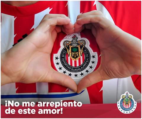LasDeChivas10's tweet photo. #FelizLunez Familia Rojiblanca la afición nunca abandona !! Este amor es para toda la vida!
Gracias @Chivas 🔴⚪🔵👏👏🙏💋❤ https://t.co/0KXt1EDg0l