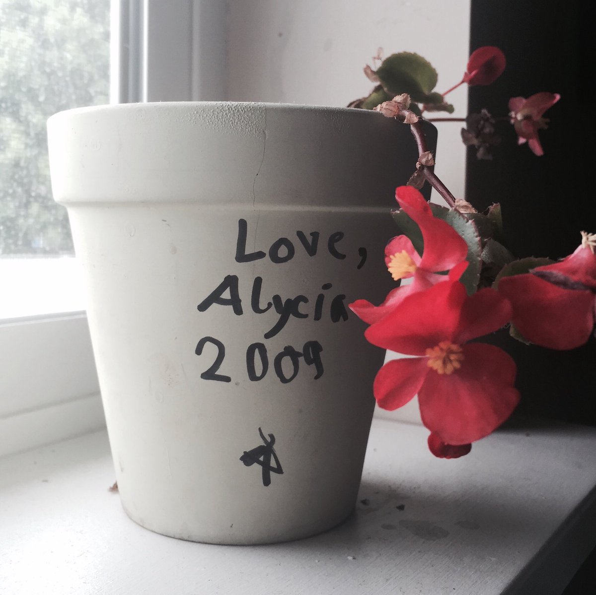 Living proof that I've managed to keep something alive for seven years (besides my children) #brownthumb