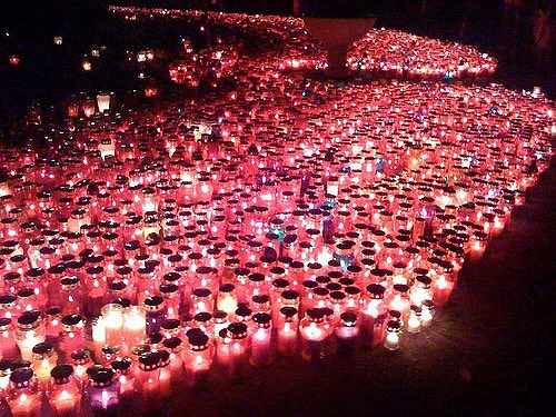 AliceKelly98's tweet photo. How many candles I will need lit for this week https://t.co/SoXZCVo67G