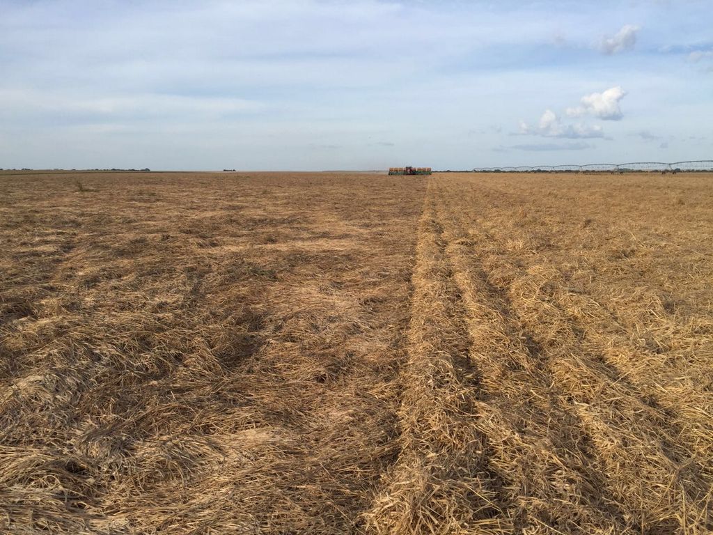 WollmannCleber's tweet photo. No till Brazil https://t.co/fKeDC0ZHl0