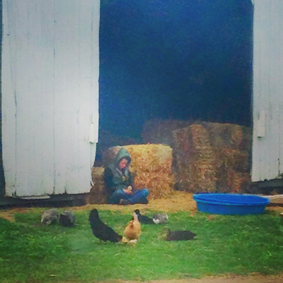 The best breaks are critter breaks. Am I right, @BossyEats?