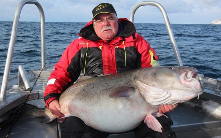 fishing_angling's tweet photo. Catch of the day at https://t.co/ZAD0NzhhOt https://t.co/LObQuWvs6u