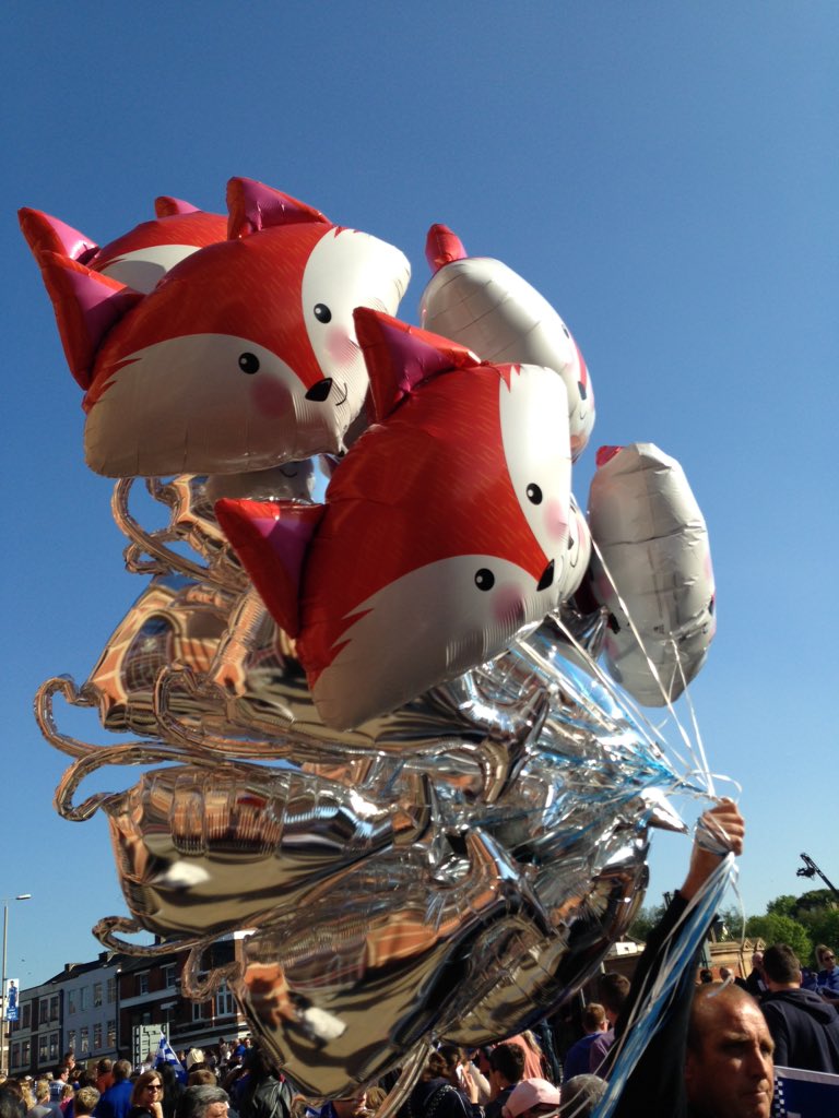 jufflehead's tweet image. Champions! The whole of Leicester is out to see the #LCFCParade #bbcfootball