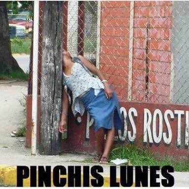 elcotillon's tweet photo. Así nuestro día #felizlunes https://t.co/ExCMRhkUiS