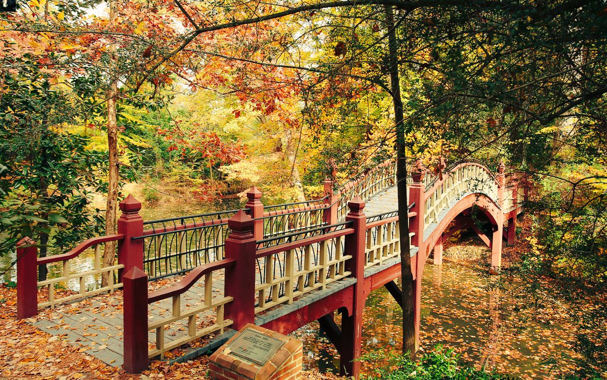 CollegesAmerica's tweet image. College on William &amp;amp; Mary, Williamsburg, Virginia