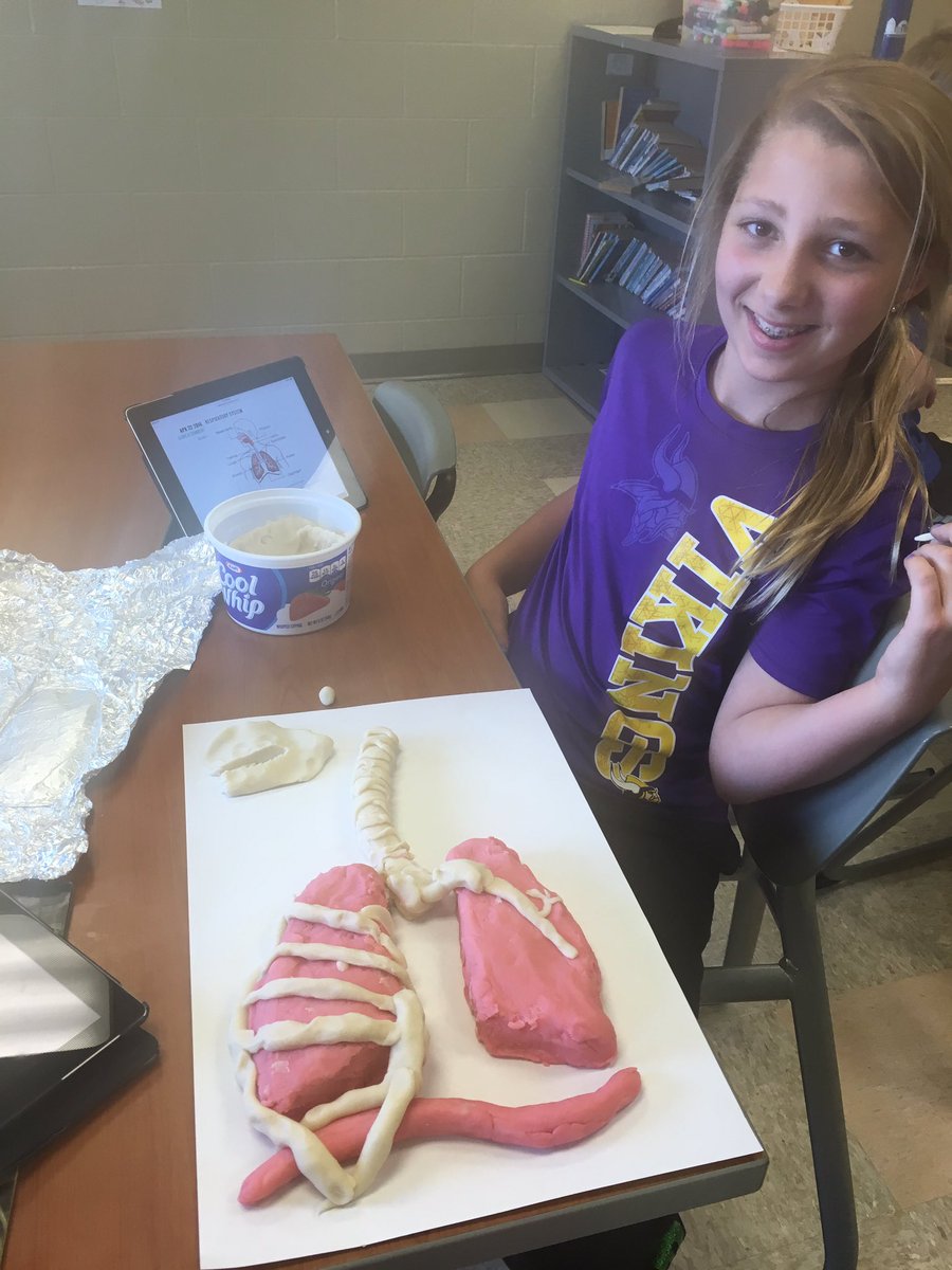 LWajer's tweet photo. 5th graders rock! ✔️out this play dough model-in-the-making of the respiratory system
#pasarrows #creativekiddos https://t.co/5zhngtCZwK