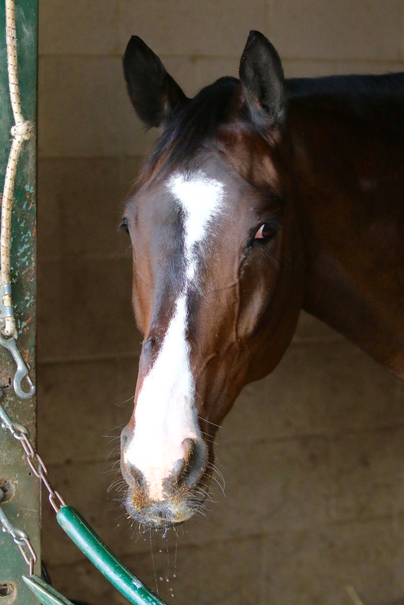Caught literally eating my breakfast this morning.  At least I don't chew with my mouth open.