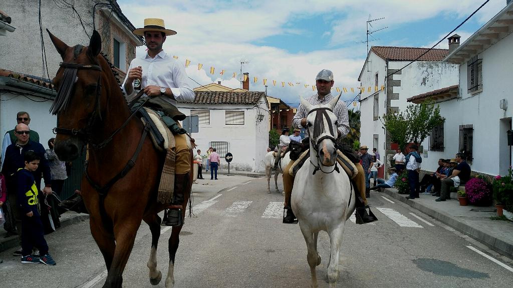 LauraGrojas_ed's tweet photo. El caballo, gran protagonista en la romería del Cristo de la Luz, el 'Rocío' abulense #edirecto @ed_tve @Avila_CyL https://t.co/SPVNMIR57C