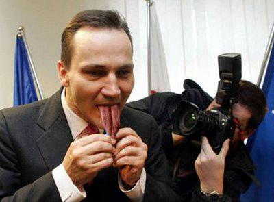 Czy Radek Sikorski jest jełopem? głosowanie