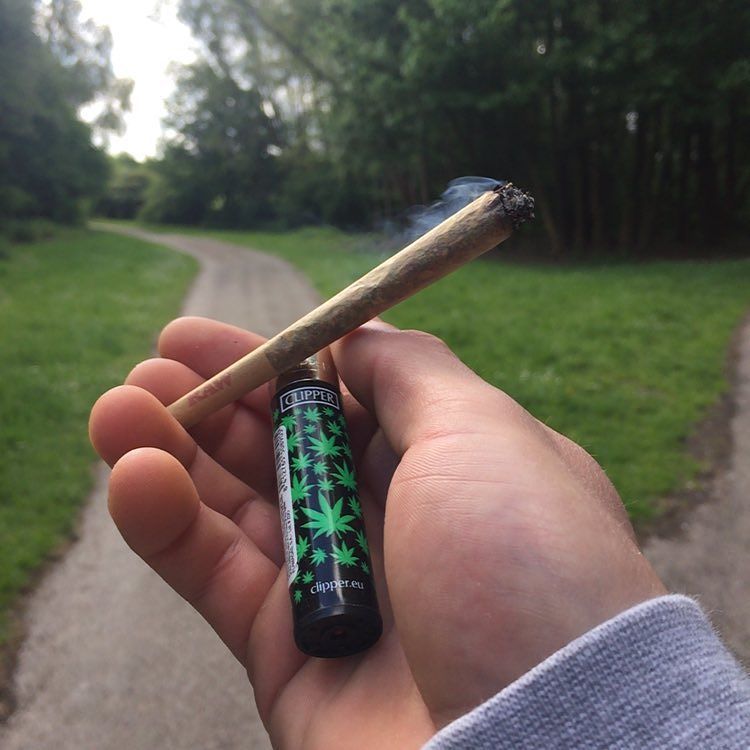 applejuice14431's tweet photo. Wake an bake on this fine haze. Hope you all hav a good day #haze4breakfast #wab420 #clubcannabis #TheDankShack #ra… https://t.co/luOA4s53cZ