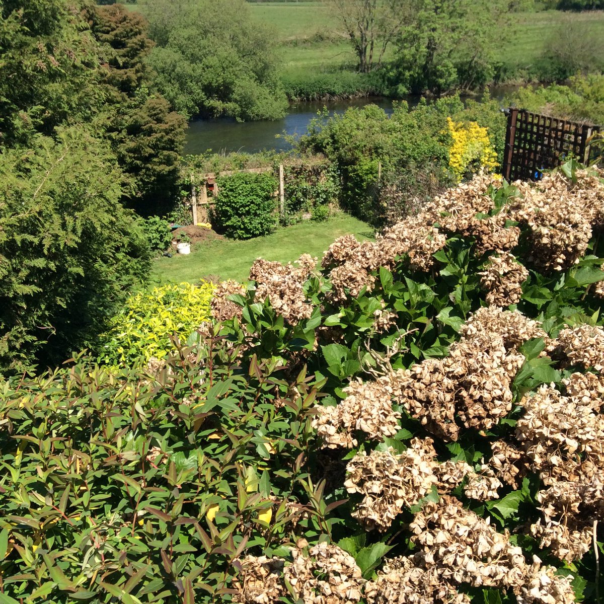 The Dorset Gardener (Dorset_Gardener) Twitter